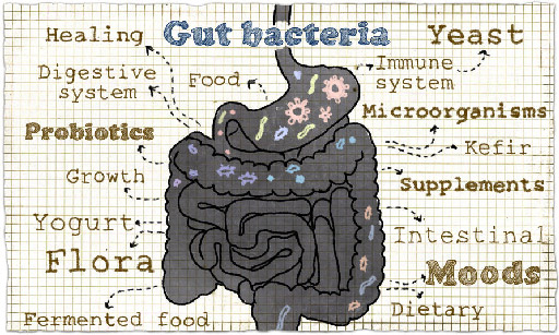 Your gut: health, healing and balance