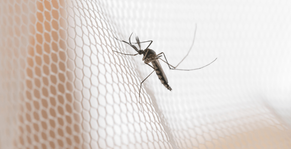 Anti-malaria tablets compared: which one should you take?